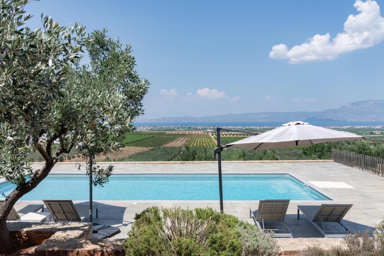 The Olive Hill Villa Ássos Buitenkant foto