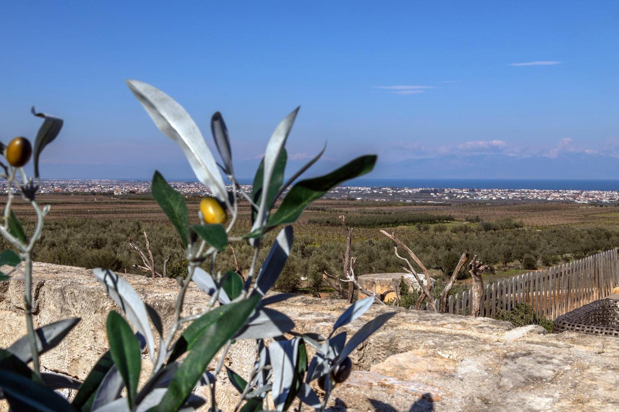 The Olive Hill Villa Ássos Buitenkant foto