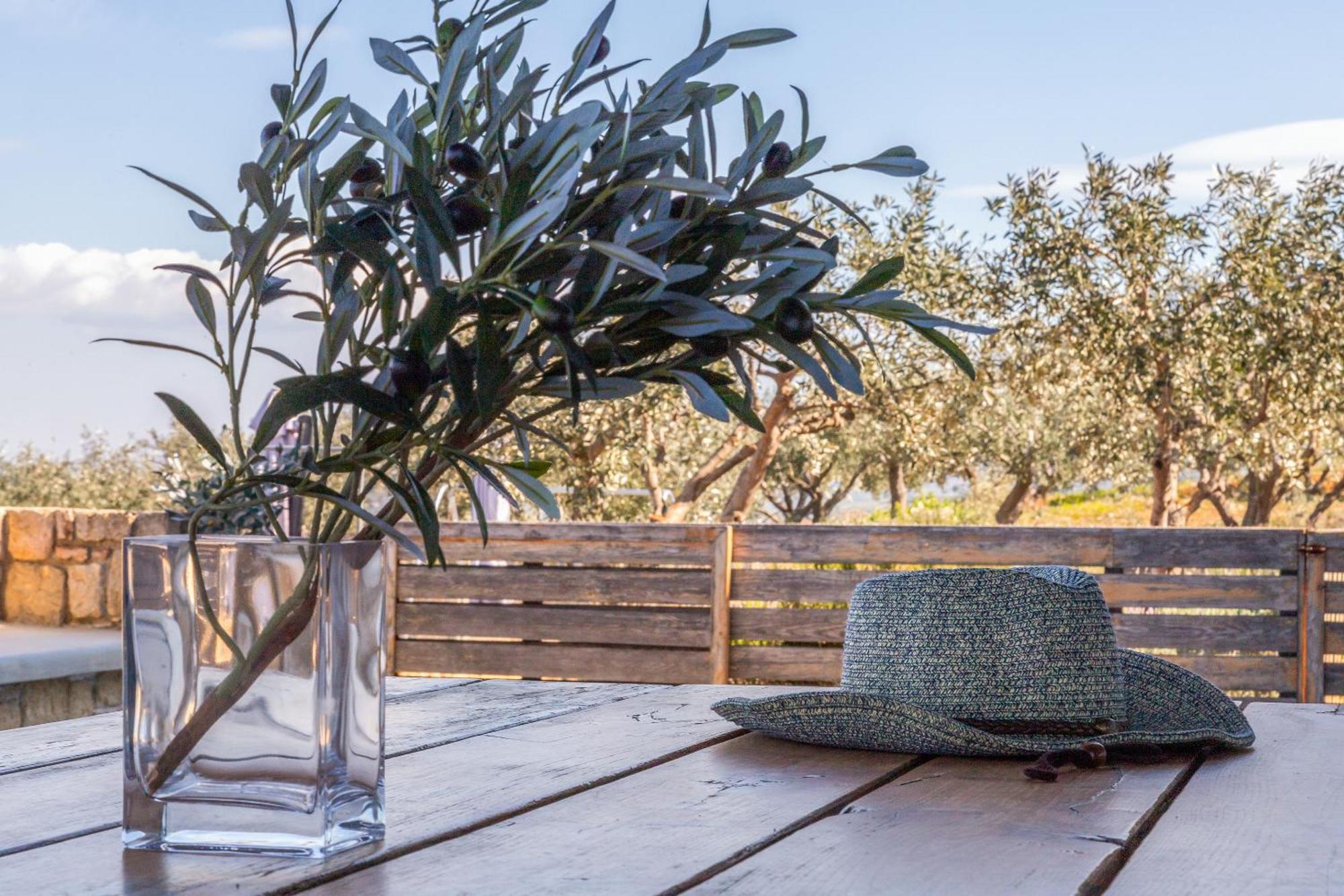 The Olive Hill Villa Ássos Buitenkant foto