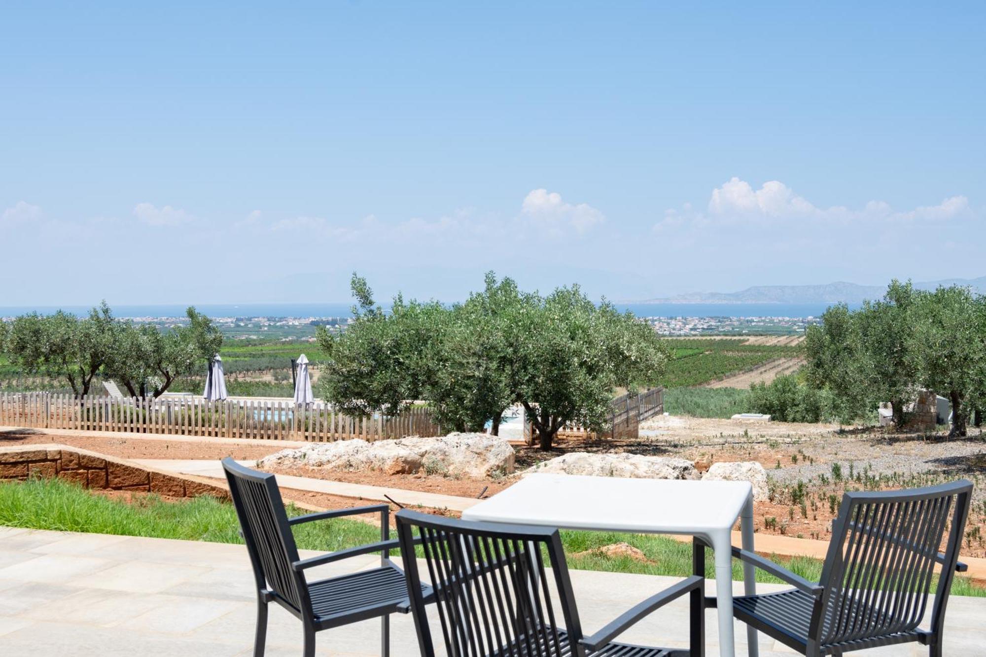The Olive Hill Villa Ássos Buitenkant foto